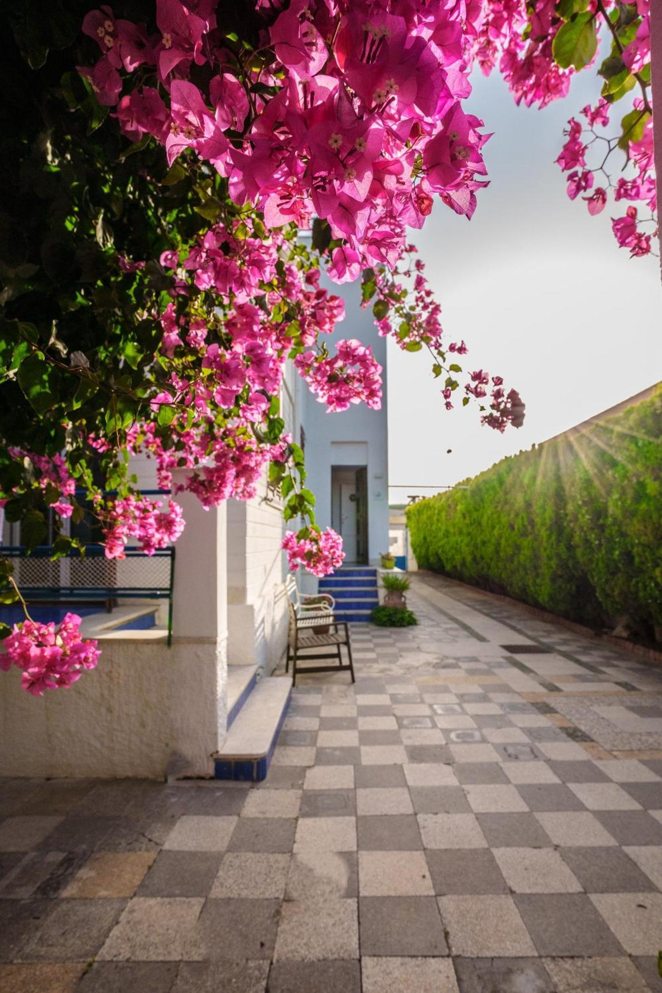 Le Vele Mondello, Villa A Due Passi Dal Mare Luaran gambar